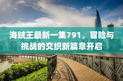海贼王最新一集791，冒险与挑战的交织新篇章开启