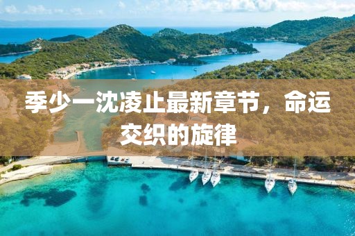 季少一沈凌止最新章节，命运交织的旋律