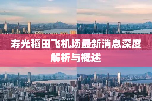 寿光稻田飞机场最新消息深度解析与概述