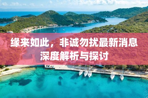 缘来如此，非诚勿扰最新消息深度解析与探讨