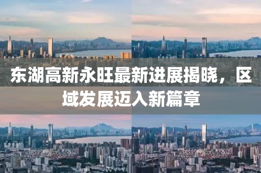 东湖高新永旺最新进展揭晓，区域发展迈入新篇章