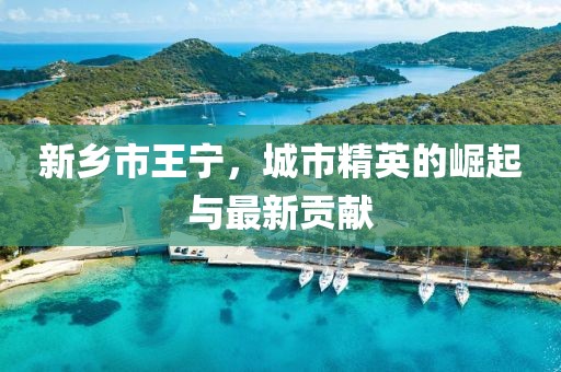 新乡市王宁，城市精英的崛起与最新贡献