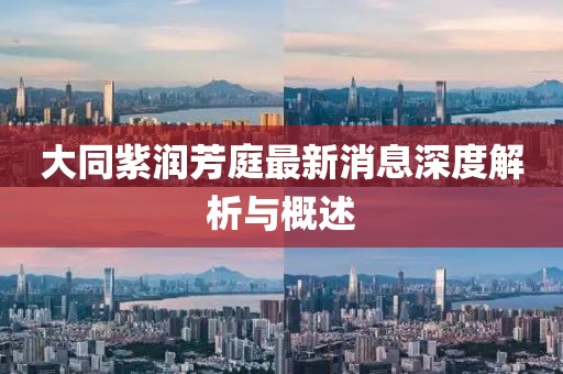 大同紫润芳庭最新消息深度解析与概述