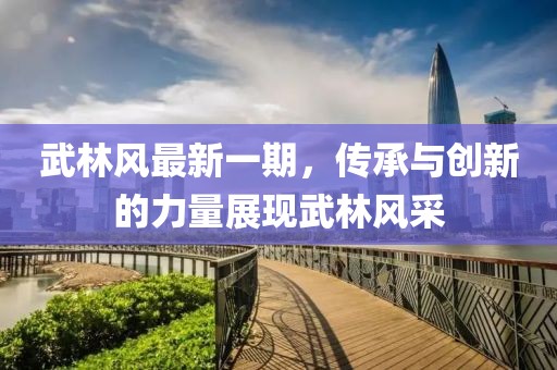 武林风最新一期，传承与创新的力量展现武林风采