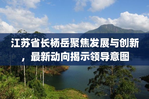 江苏省长杨岳聚焦发展与创新，最新动向揭示领导意图