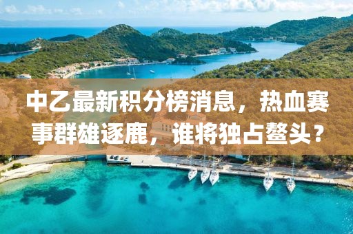 中乙最新积分榜消息，热血赛事群雄逐鹿，谁将独占鳌头？