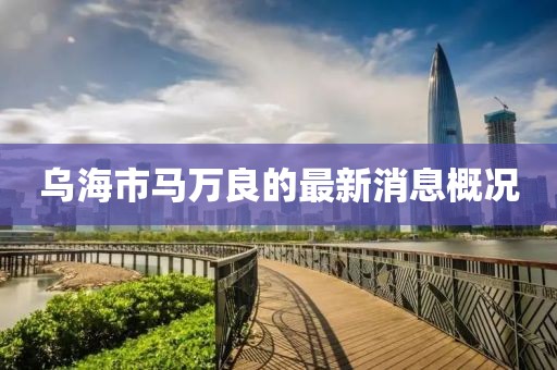 乌海市马万良的最新消息概况