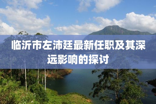 临沂市左沛廷最新任职及其深远影响的探讨