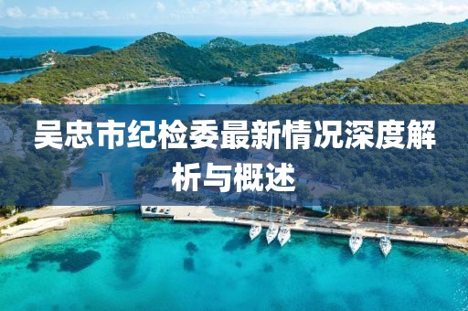 吴忠市纪检委最新情况深度解析与概述