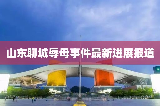 山东聊城辱母事件最新进展报道