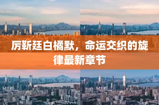 厉靳廷白橘默，命运交织的旋律最新章节