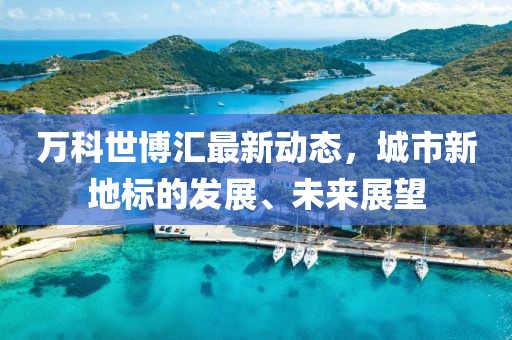 万科世博汇最新动态，城市新地标的发展、未来展望