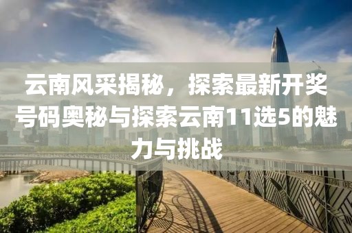 2024年11月 第315页