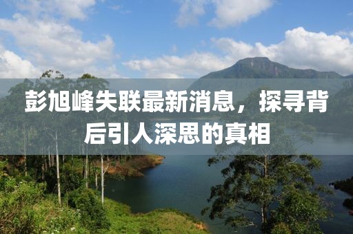 彭旭峰失联最新消息，探寻背后引人深思的真相