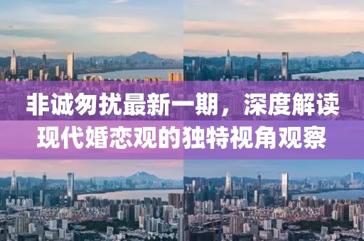非诚匆扰最新一期，深度解读现代婚恋观的独特视角观察