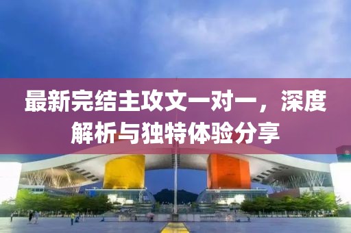 最新完结主攻文一对一，深度解析与独特体验分享