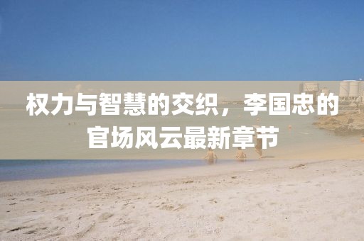 权力与智慧的交织，李国忠的官场风云最新章节