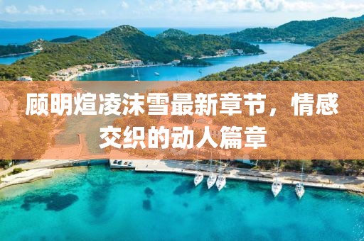 顾明煊凌沫雪最新章节，情感交织的动人篇章