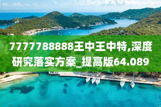 7777788888王中王中特,深度研究落实方案_提高版64.089