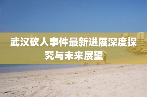 武汉砍人事件最新进展深度探究与未来展望