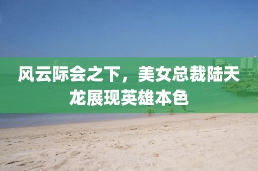 风云际会之下，美女总裁陆天龙展现英雄本色