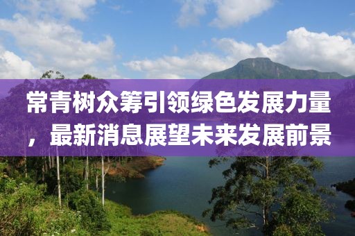 常青树众筹引领绿色发展力量，最新消息展望未来发展前景