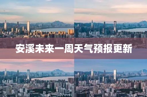 2024年11月 第238页