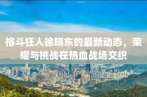 格斗狂人徐晓东的最新动态，荣耀与挑战在热血战场交织