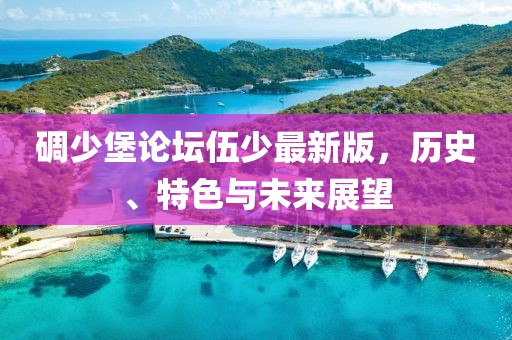 碉少堡论坛伍少最新版，历史、特色与未来展望