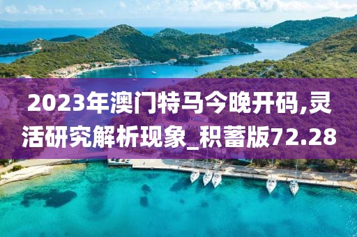 2023年澳门特马今晚开码,灵活研究解析现象_积蓄版72.28