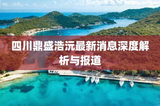 四川鼎盛浩沅最新消息深度解析与报道
