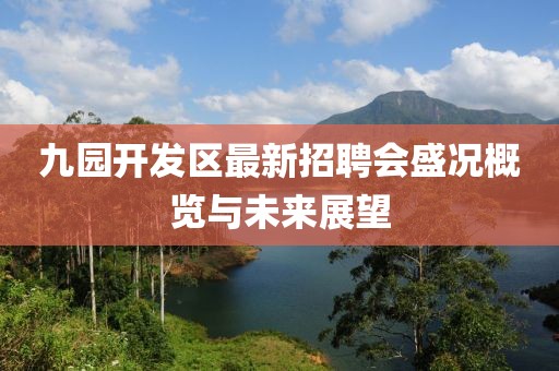 九园开发区最新招聘会盛况概览与未来展望