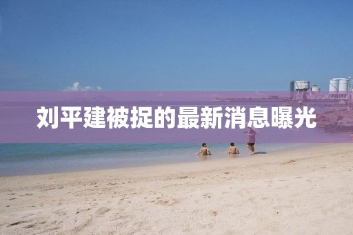 刘平建被捉的最新消息曝光