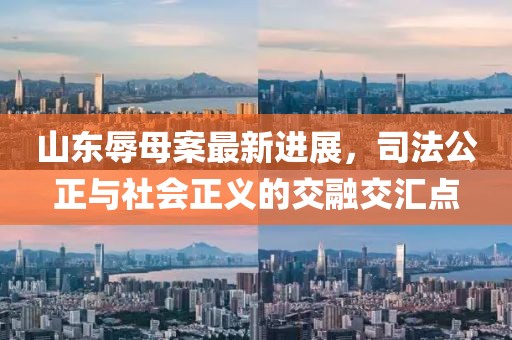 山东辱母案最新进展，司法公正与社会正义的交融交汇点