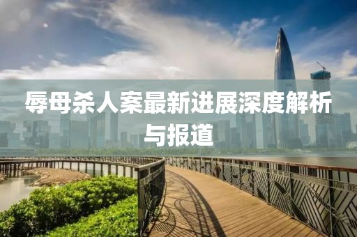 辱母杀人案最新进展深度解析与报道