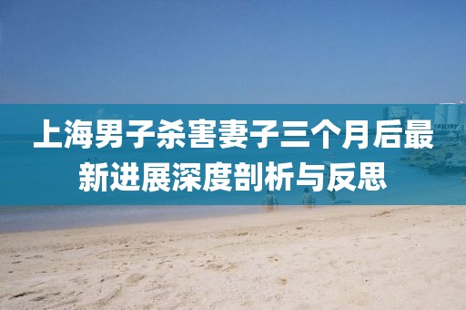 上海男子杀害妻子三个月后最新进展深度剖析与反思