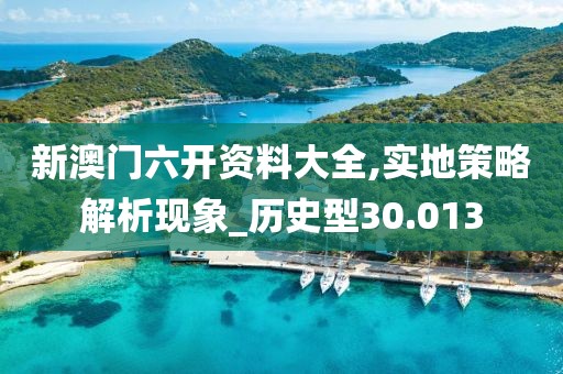 新澳门六开资料大全,实地策略解析现象_历史型30.013