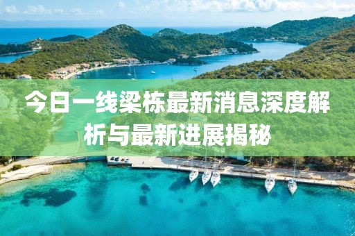 今日一线梁栋最新消息深度解析与最新进展揭秘