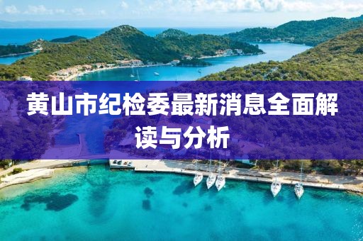 黄山市纪检委最新消息全面解读与分析