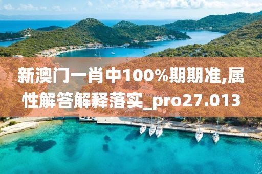 新澳门一肖中100%期期准,属性解答解释落实_pro27.013