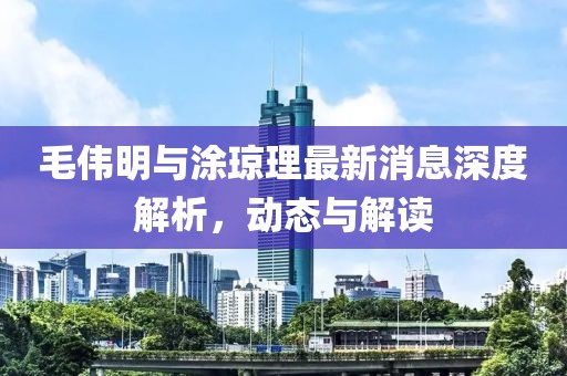 毛伟明与涂琼理最新消息深度解析，动态与解读