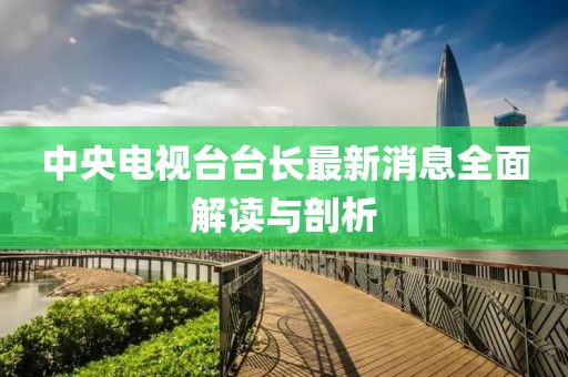 中央电视台台长最新消息全面解读与剖析