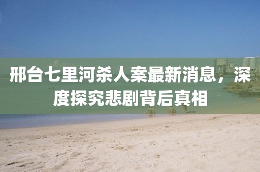 邢台七里河杀人案最新消息，深度探究悲剧背后真相
