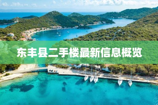 东丰县二手楼最新信息概览