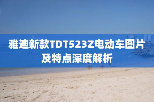 雅迪新款TDT523Z电动车图片及特点深度解析