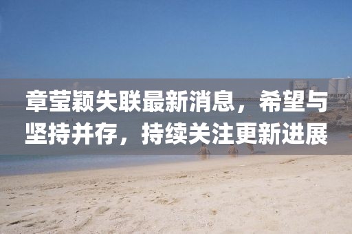 章莹颖失联最新消息，希望与坚持并存，持续关注更新进展