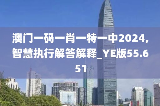 澳门一码一肖一特一中2024,智慧执行解答解释_YE版55.651