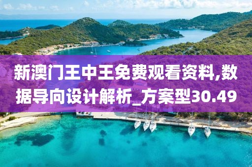 新澳门王中王免费观看资料,数据导向设计解析_方案型30.49