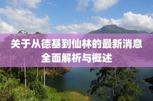 关于从德基到仙林的最新消息全面解析与概述