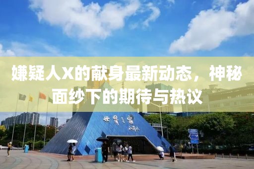 嫌疑人X的献身最新动态，神秘面纱下的期待与热议